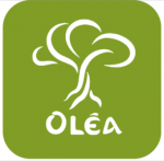Olea-Soap.gr Χειροποίητα Σαπούνια Ελαιολάδου